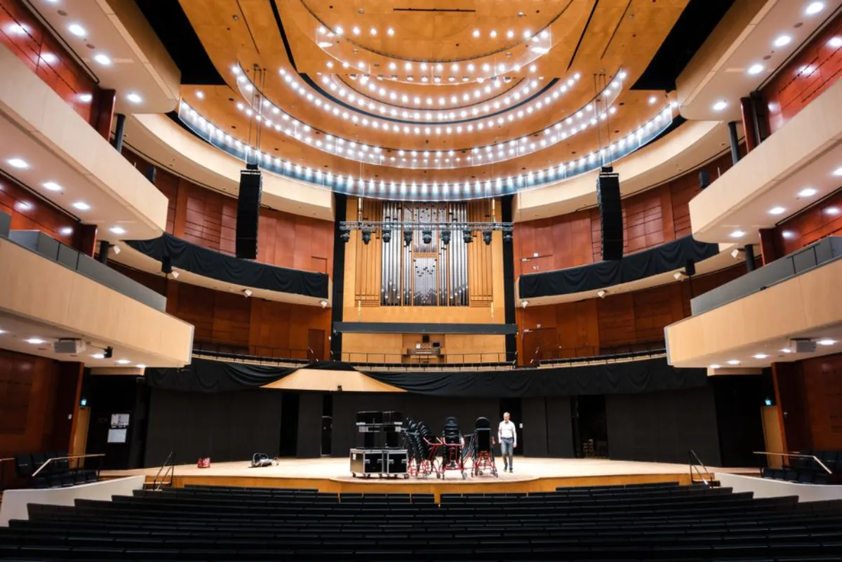 陈大愚为什么不急着爆红